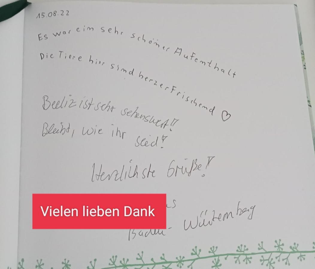 Borkwalde Ferienzimmer Waldzauber מראה חיצוני תמונה